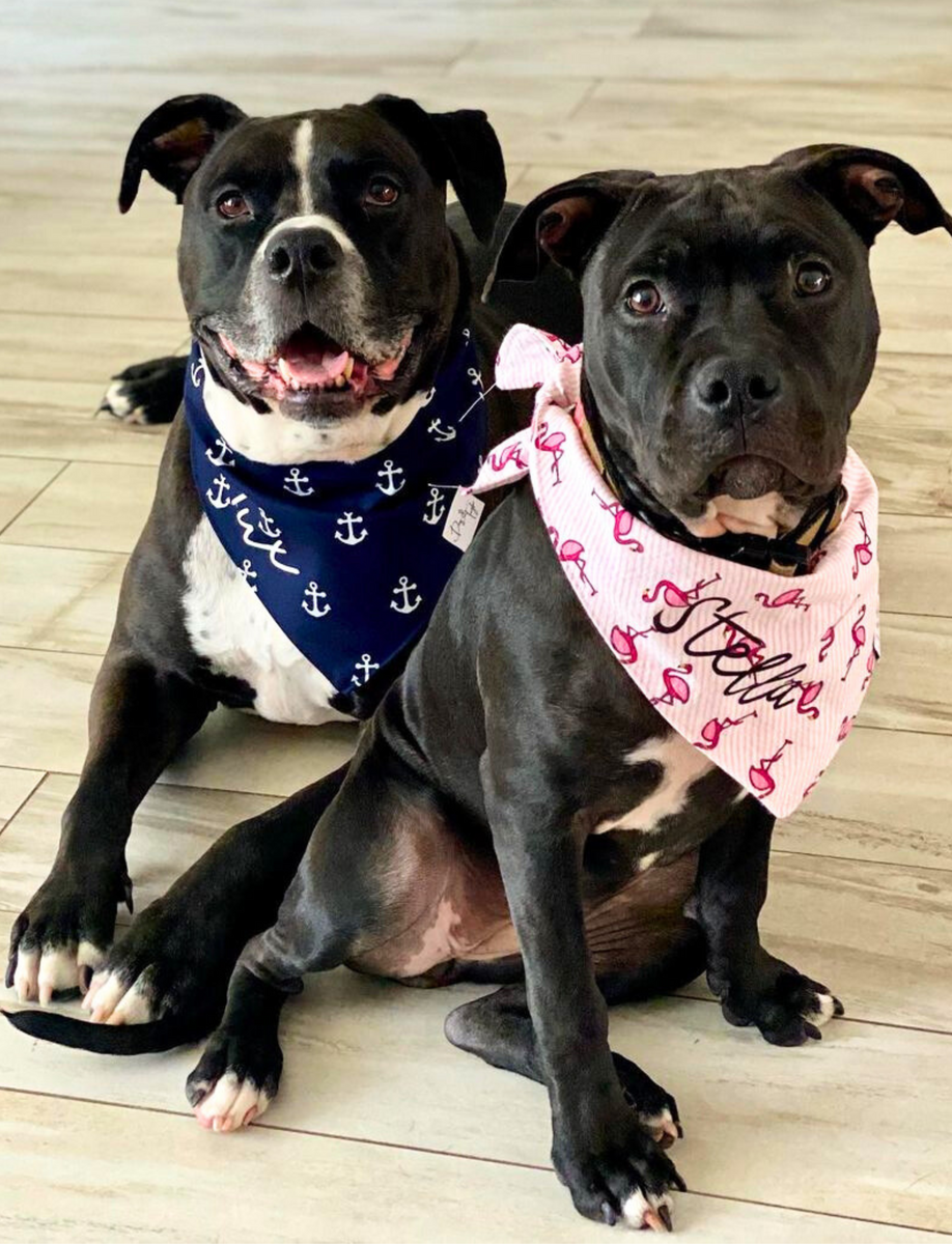 Flamingo sales dog bandana