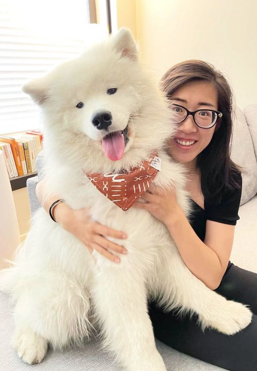 Boho Tribe Bandana – DOG TAYLOR