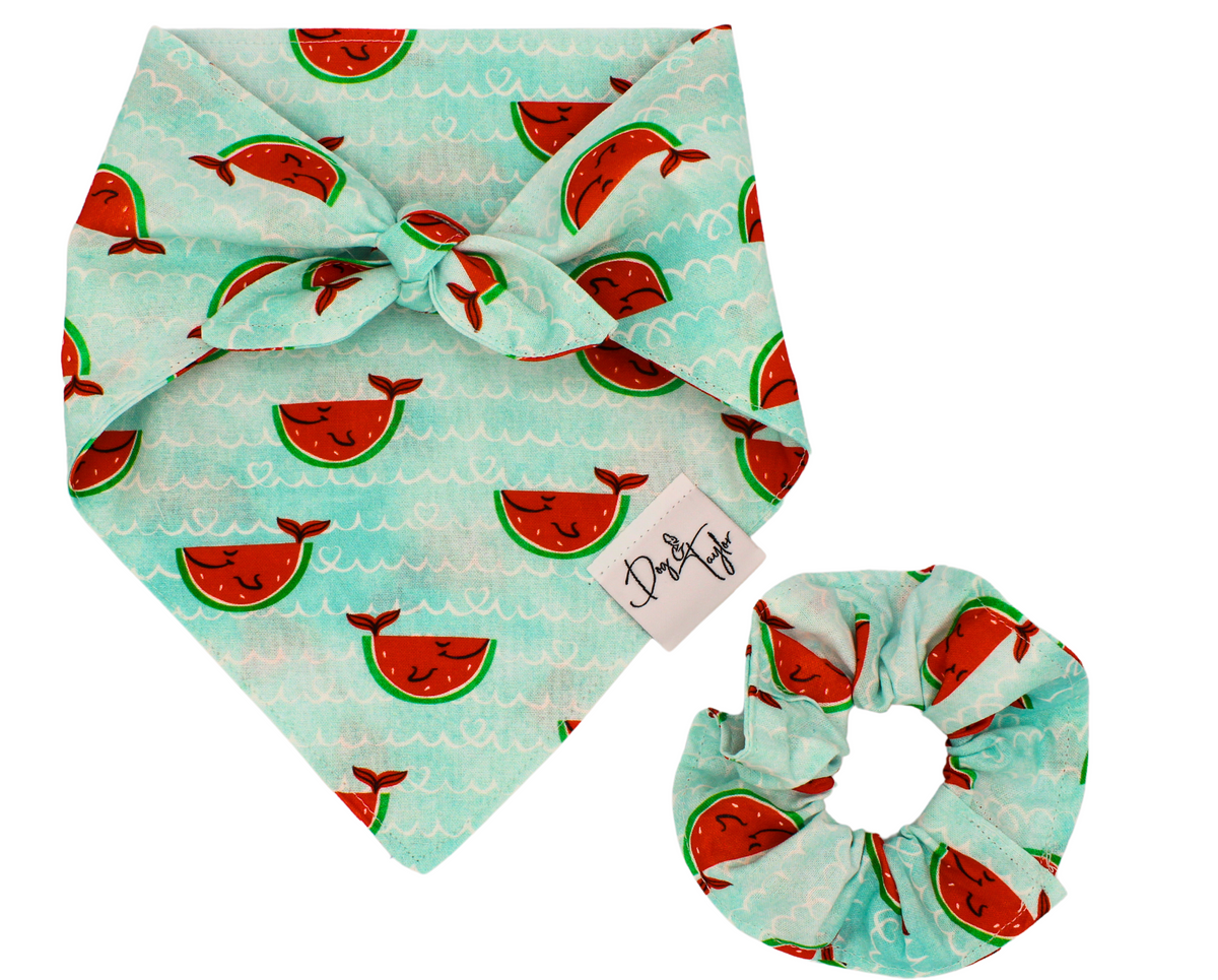 Happy Watermelon Fish tie on bandana Matching Scrunchie for Dog