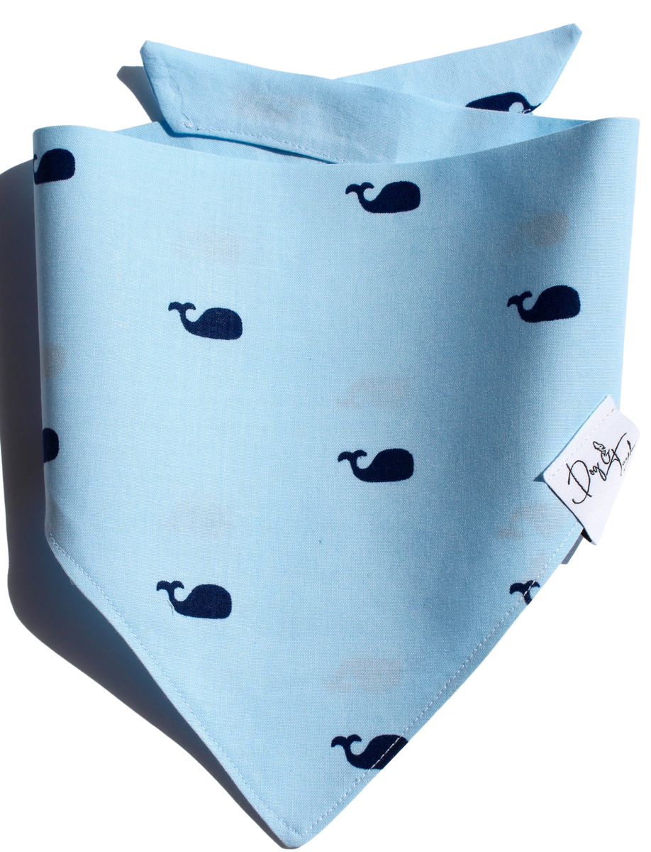 Space City Slip-Over the Collar Dog Bandana