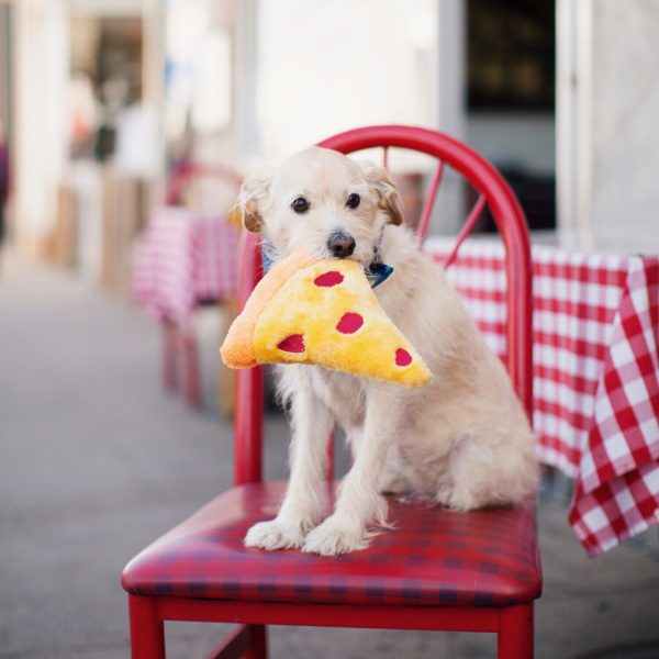 Dog toy pizza clearance slice