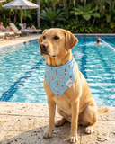 Poolside Pups Dog Bandana