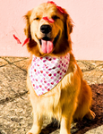 Candy Hearts Dog Bandana