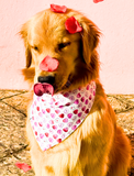 Candy Hearts Dog Bandana