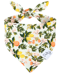 Citrus Grove Dog Bandana
