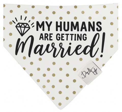 Gold Polka Dots Dog Bandana | Dog & Taylor®