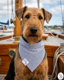 Preppy in Navy Blue Seersucker Dog Bandana