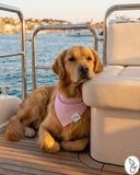 Pretty in Pink Seersucker Dog Bandana