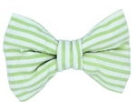 Key Lime Bow Tie