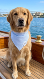 Preppy Light Blue Dog Bandana