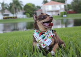 Christmas Shopping Dog Bandana – Santa & Family Fun | Dog & Taylor®