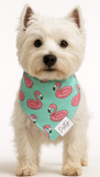 Flamingo Floats Dog Bandana | Dog & Taylor®