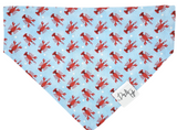 Little Lobster Dog Bandana | Coastal Style | Dog & Taylor®