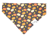 Pumpkin Dog Bandana | Fall Pet Accessory | Dog & Taylor®