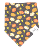 Pumpkin Dog Bandana | Fall Pet Accessory | Dog & Taylor®