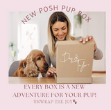 TOY + BANDANA|  Subscription Box | Posh Pup Gift Box | Dog & Taylor®