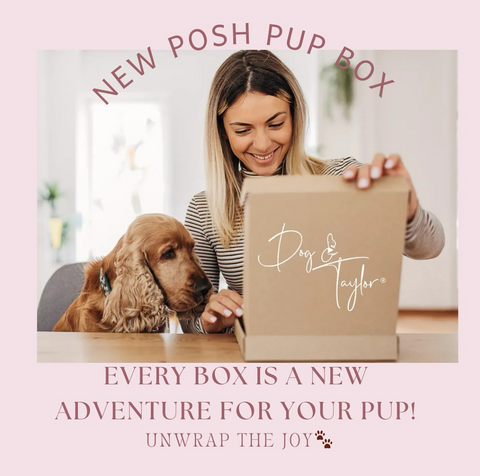 Dog Bandana Subscription Box | Posh Pup Gift Box | Dog & Taylor®