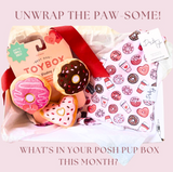 TOY + BANDANA|  Subscription Box | Posh Pup Gift Box | Dog & Taylor®