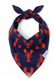 Seaside Lobster Dog Bandana | Nautical Style | Dog & Taylor®