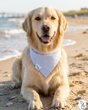 Preppy Light Blue Dog Bandana