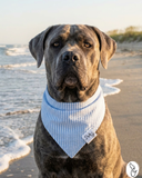 Preppy Light Blue Dog Bandana