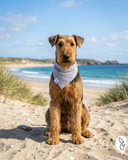 Preppy in Navy Blue Seersucker Dog Bandana