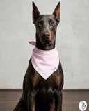 Pretty in Pink Seersucker Dog Bandana