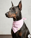 Pretty in Pink Seersucker Dog Bandana
