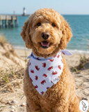 Crabs Dog Bandana | Dog & Taylor®
