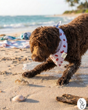 Crabs Dog Bandana | Dog & Taylor®