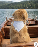 Preppy Light Blue Dog Bandana