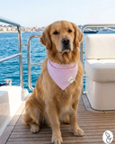 Pretty in Pink Seersucker Dog Bandana