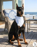Preppy Light Blue Dog Bandana