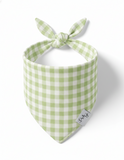 Spring Green Gingham Dog Bandana