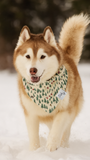 Ski Trip Dog Bandana | Winter Adventure Dog Scarf by Dog & Taylor®