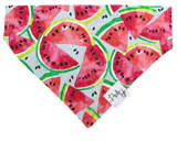 Watermelon Dog Bandana
