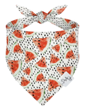 Watermelon Treats Dog Bandana