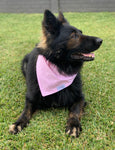 Pink Squares Over The Collar Dog Bandana 2- Dog & Taylor - @dogandtaylor