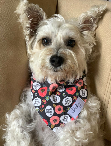 Total Badass Dog Bandana DOG TAYLOR