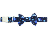 Dreidel - Dog Collar + Bow