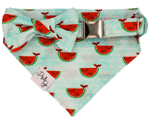 Happy Watermelon Fish Collar + Slip-on Bandana + Bow (Set of 3)