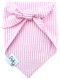 Pretty in Pink Tie-On Dog Bandana 2 - Dog & Taylor - @dogandtaylor