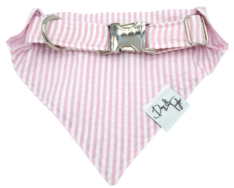 Pretty In Pink Slip-on Bandana + Collar (Set of 2)