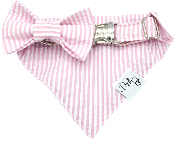 pink dog bowtie