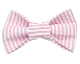 Pretty In Pink Collar + Bow