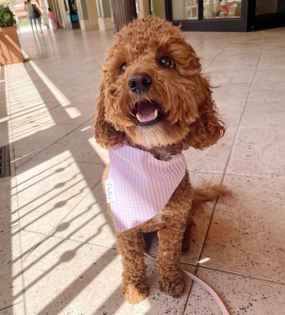 Cute girl dog bandanas hot sale