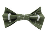 Underneath the Tree - Dog Bow Tie