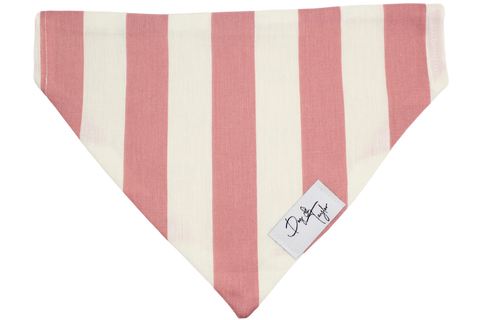 Vintage Pink Stripes Dog Bandana 1 - Dog & Taylor - @dogandtaylor
