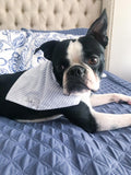 Eros Blue Stripes Dog Bandana 4 - Dog & Taylor - @dogandtaylor