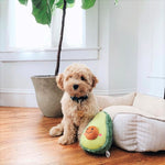 Zippy Paws NomNomz Avocado Dog Toy - Shop Dog & Taylor